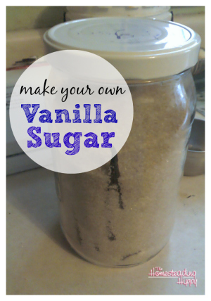 how-to-make-vanilla-sugar-thehomesteadinghippy