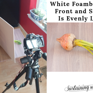Food Photography Friday: My $2 Secret for Better Lighting in Your Blog Photos