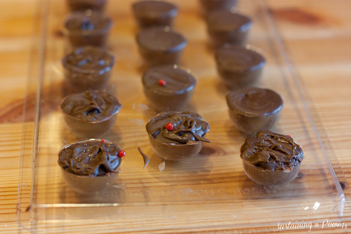Recipe - Make Your Own Filled Chocolates - Sustaining the Powers-1