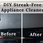 Streak-Free-Appliance-Cleaner—Sustaining-the-Powers-2