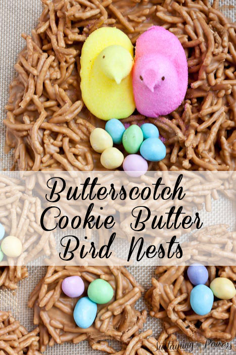 Cookie Butter and butterscotch? No way! These bird nests are always a huge hit to make with the kids.