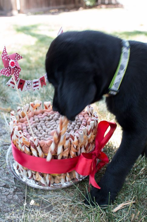 It's the dog treat version of a diaper cake! How cute! 