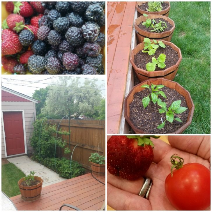 How To Start A Garden | What I Learned My First 4 Years Gardening