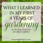 How To Start an Urban Garden | What I Learned My First 4 Years Gardening