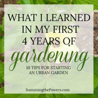 What I Learned My First 4 Years Gardening