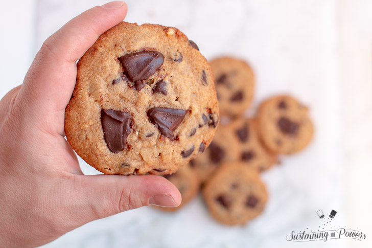 A hand holding a chocolate chip cookie.